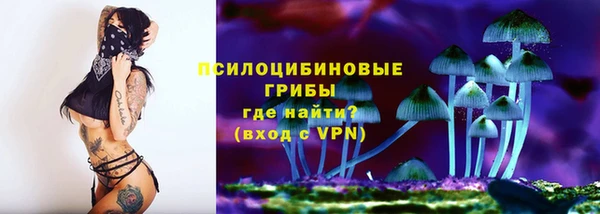 сатива Нязепетровск