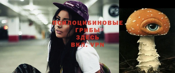 экстази Няндома