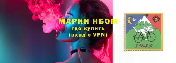 сатива Нязепетровск