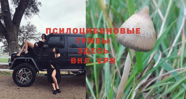 альфа пвп Нягань