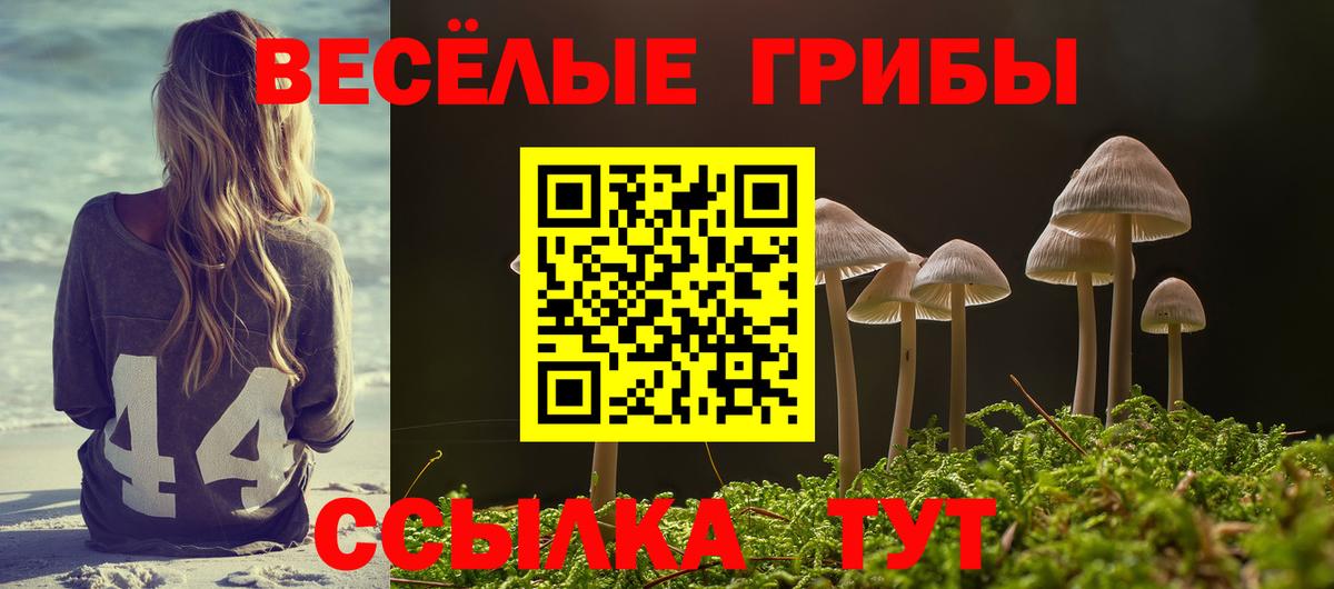 Псилоцибиновые грибы Cubensis Россошь